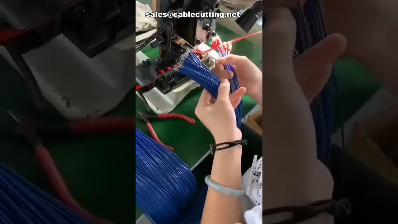عينات مجانية - موصل طرفي M8 Y معتمد UL للأسلاك 14-12 AWG باللون الأسود